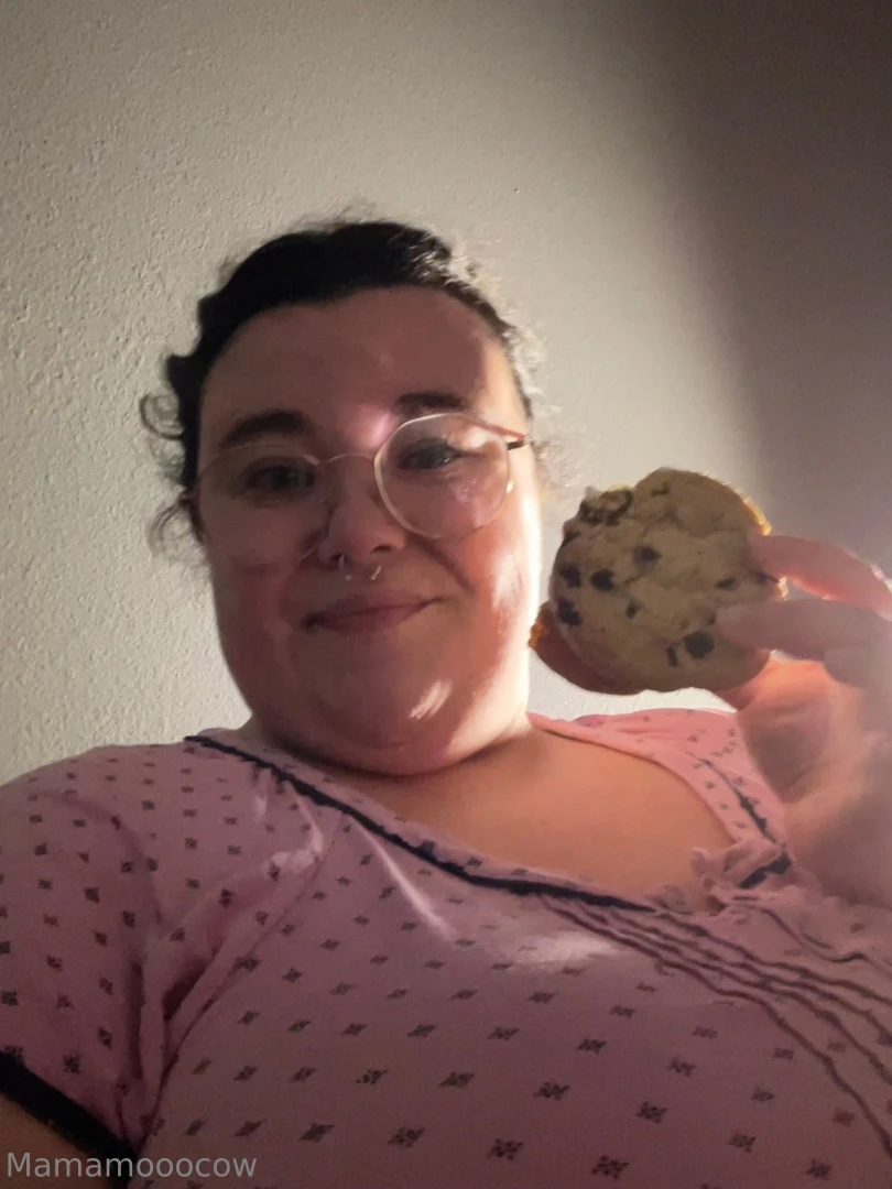 I m obsessed with these ice cream cookie sandwiches the gas stations 