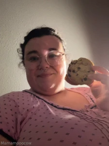 I m obsessed with these ice cream cookie sandwiches the gas stations