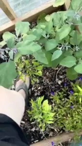 Definitely cheaper in the store but well worth all of the hours of