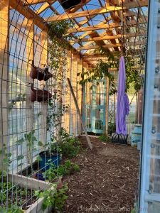 I love this time of the year living somewhere with snow i look forward