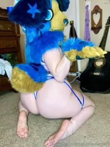 Just a pup gettin stuffed and some tail wags sorry for the random part 11