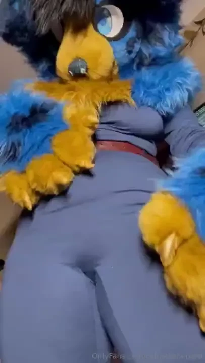 Introducing two beautiful body suits which one is your favorite i m part 12 