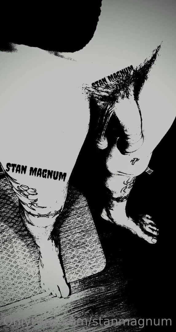 Stanmagnum part 74801 