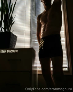 Stanmagnum part 75065