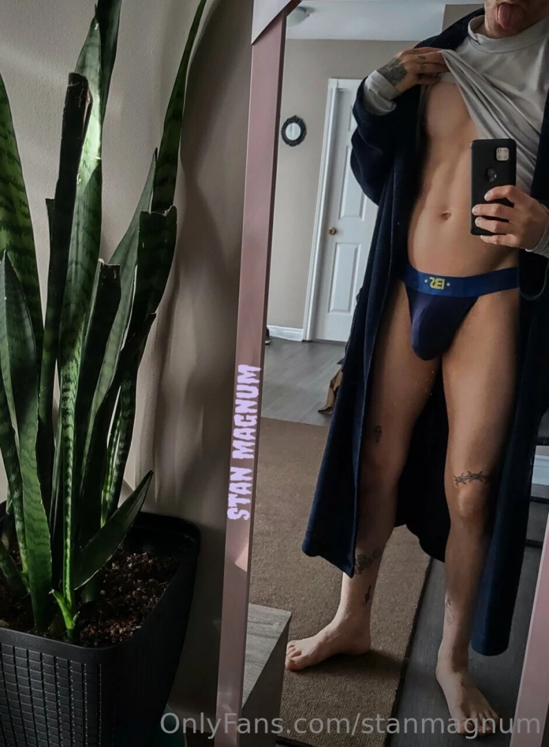 Stanmagnum part 75368 