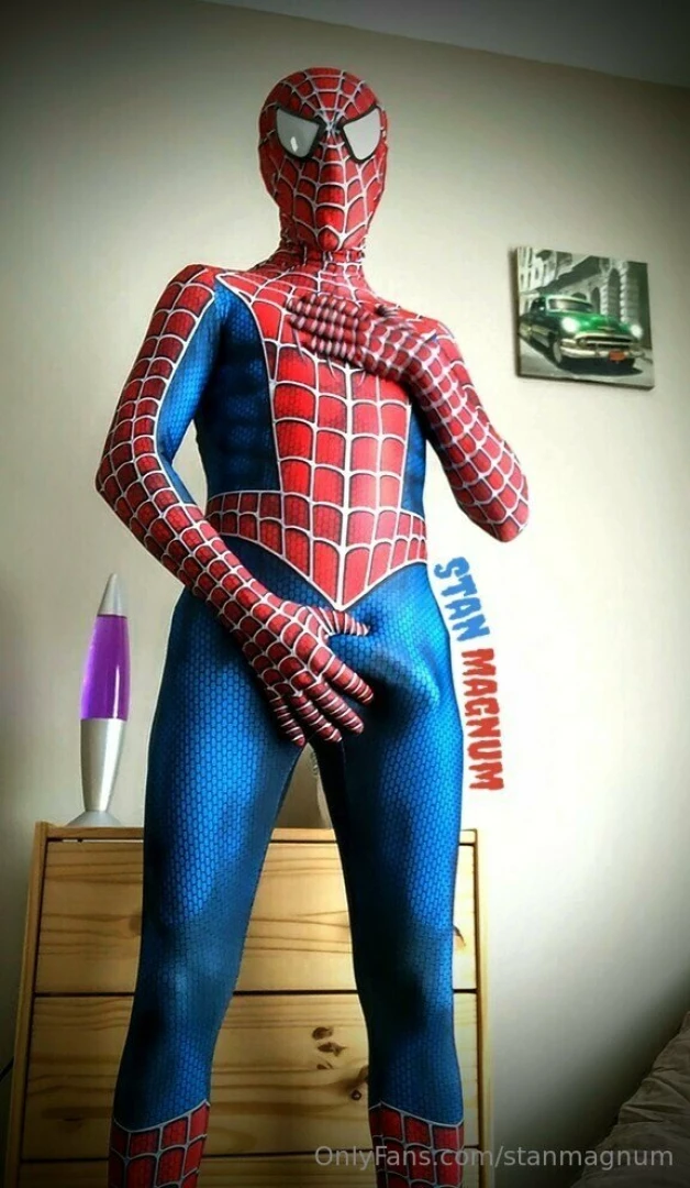 Stanmagnum part 76190 