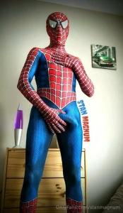 Stanmagnum part 76190