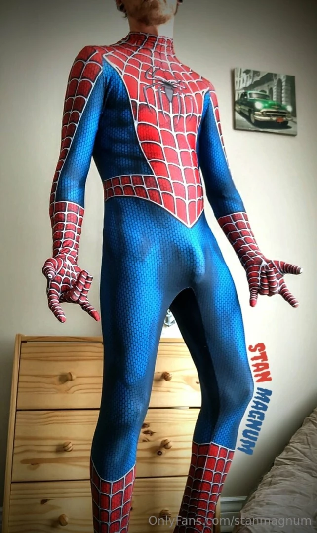 Stanmagnum part 76191 