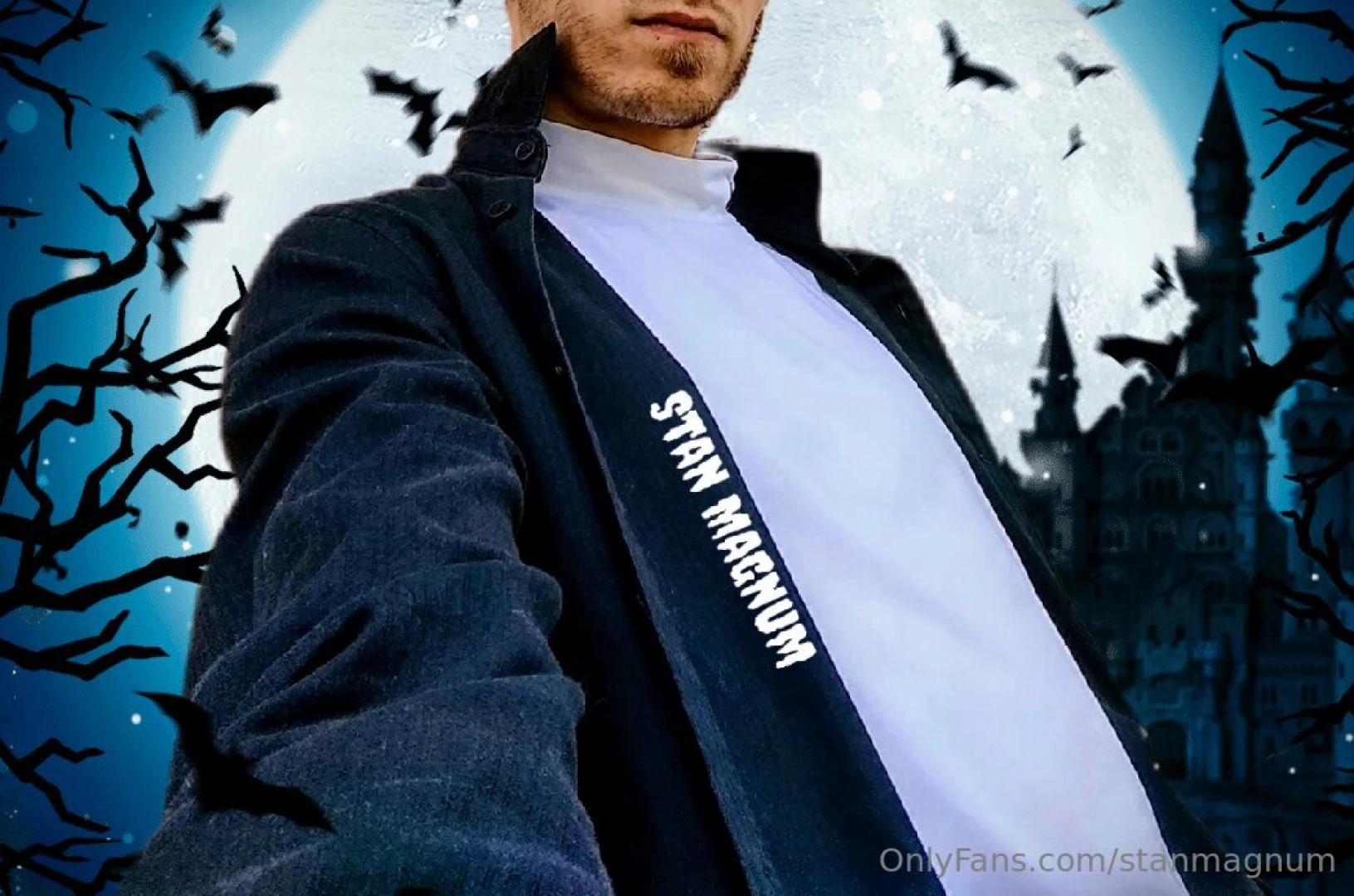 Stanmagnum part 76196 