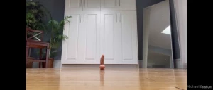 Happy sunday part 1347