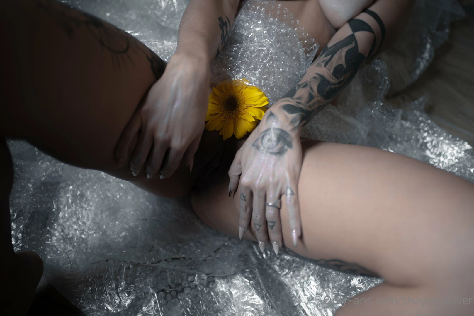 Look what i have for you mira que tengo para ti 