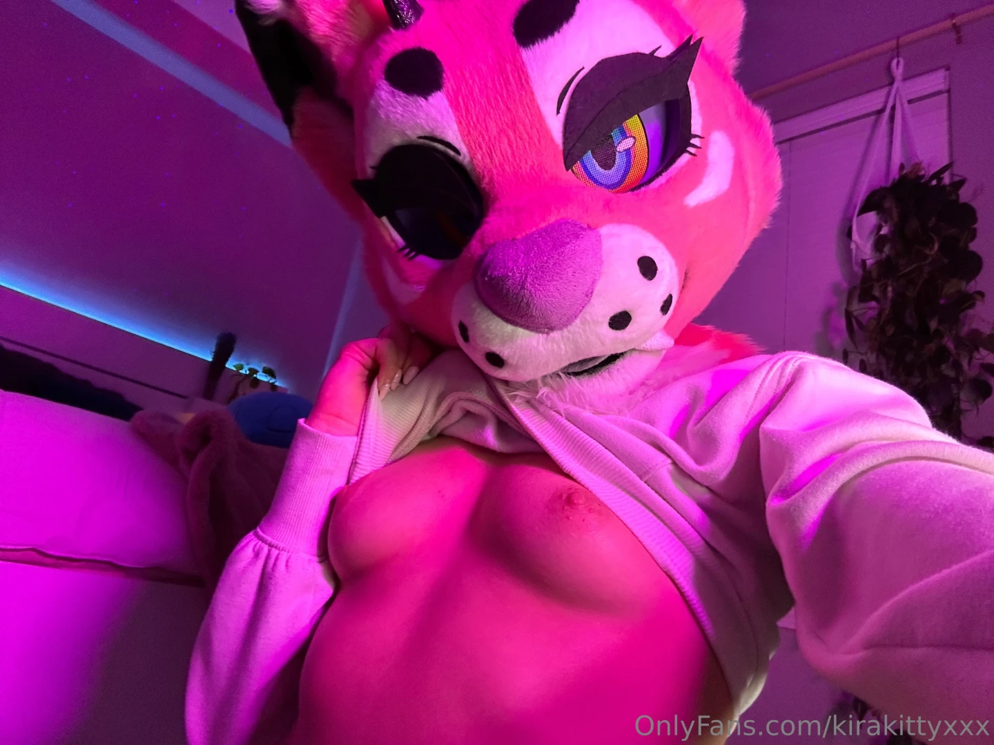 Kitty tiddy appreciation part 4 