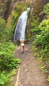 Currently missing views like this