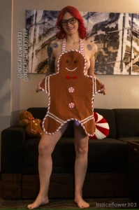 Who needs a gingerbread house when you can have a sweet treat like me