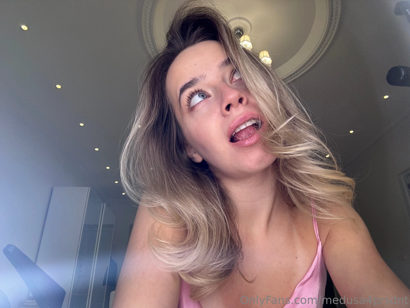 November is the month of chamomile tea and warm house sitting part 1 