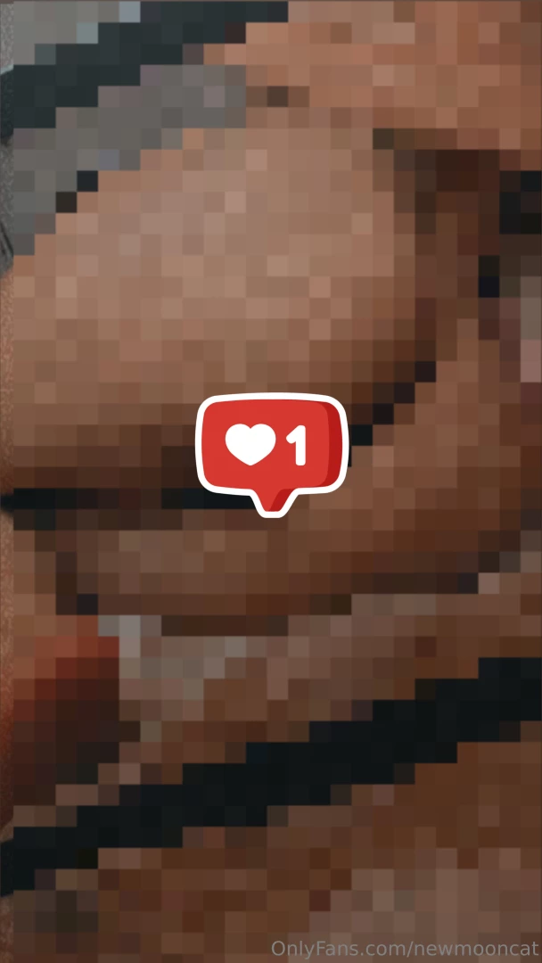 Newmooncat 