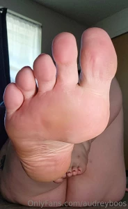 It s been a while since you ve worshipped my feet get to licking