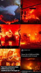 As most of you know i m living in la i m absolutely heartbroken