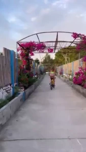 Would you bike around with me