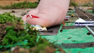 The aftermath of toetal destruction of rockville