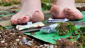 The aftermath of toetal destruction of rockville part 6