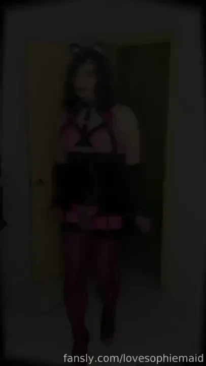 The first part of the story about the sissy hanger for madame lydia s 