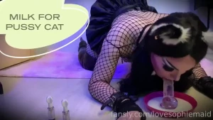 Soon a new video for my master who wants to drink warm milk to a pussy