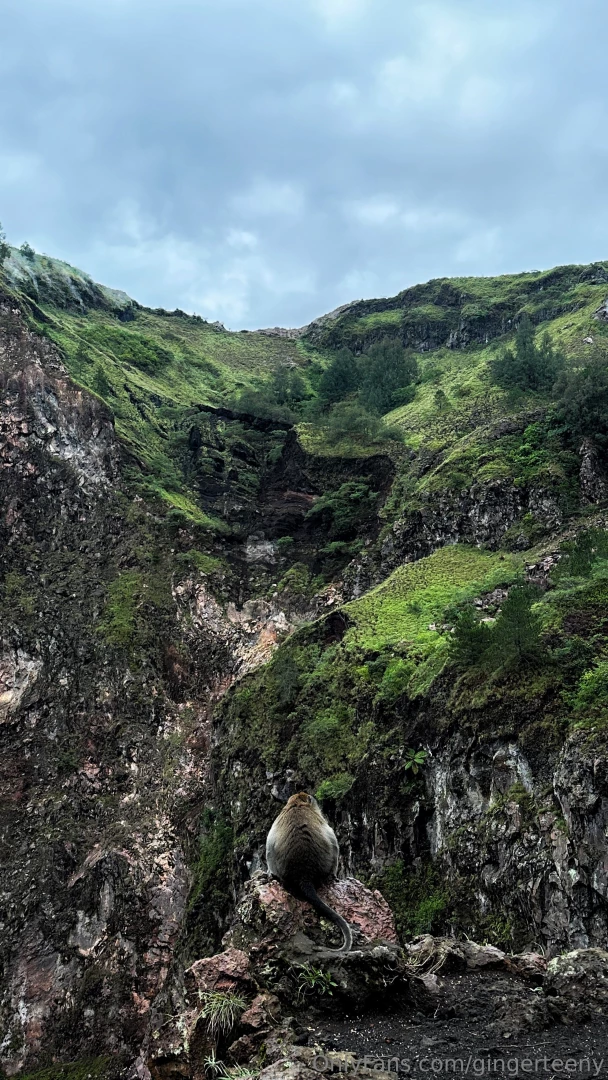 Gingerteeny part 76764 