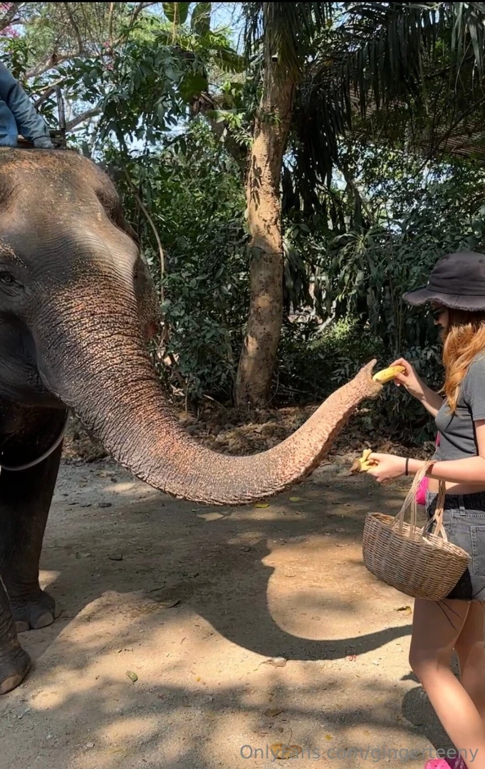 Gingerteeny part 76951 