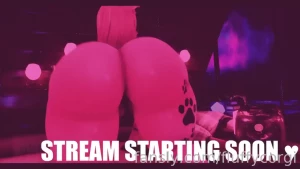 Vods from 10-28-2024 and 11-02-2024 now available