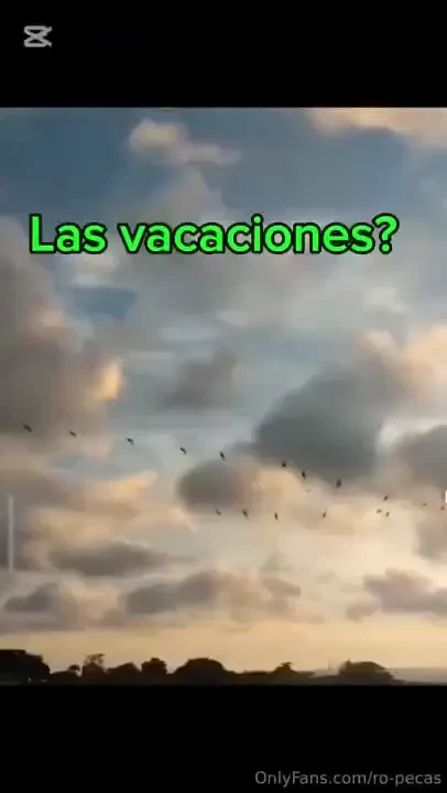 Te regalo mi calendario 2025 para que me lleves contigo todo el a o i 