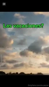 Te regalo mi calendario 2025 para que me lleves contigo todo el a o i