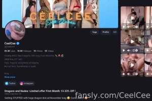 New here watch this with sound on i get asked a lot how fansly works