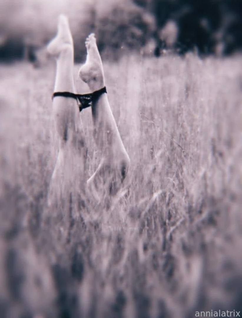 549886339311476736 part 273 