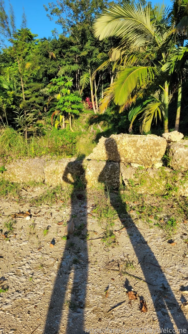 Fun with shadows couple 