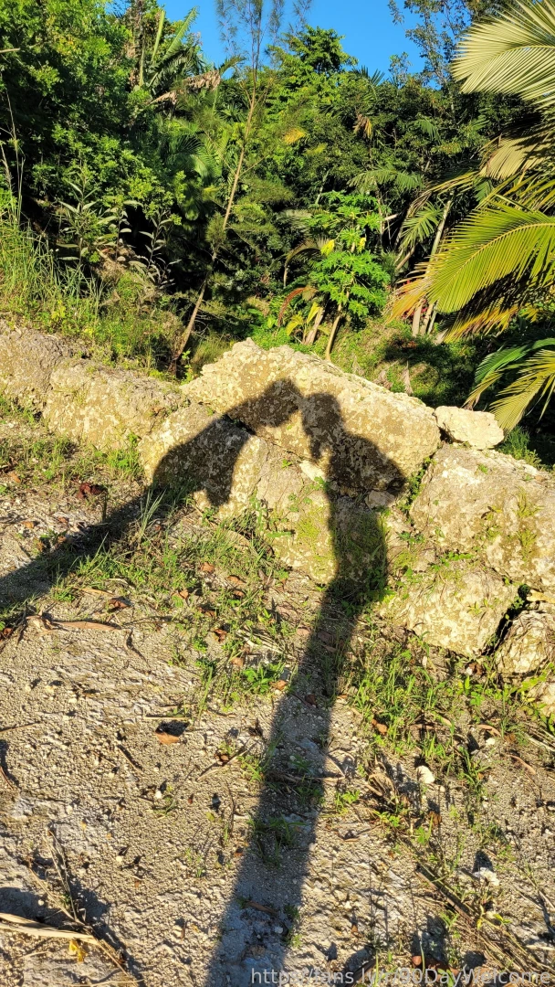 Fun with shadows couple part 1 