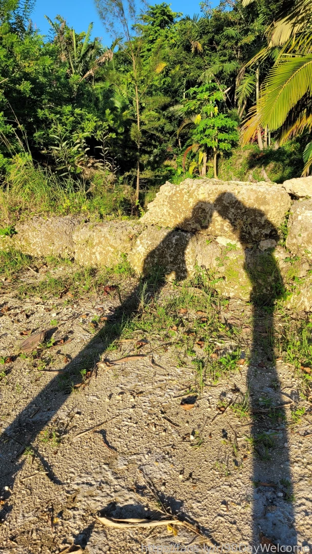 Fun with shadows couple part 2 