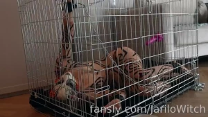 Here s my latest time locked in the cage my master was kind enough not