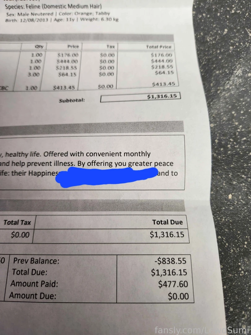 Hey cuties while i m going to do my best to stream tonight i did spend part 1 