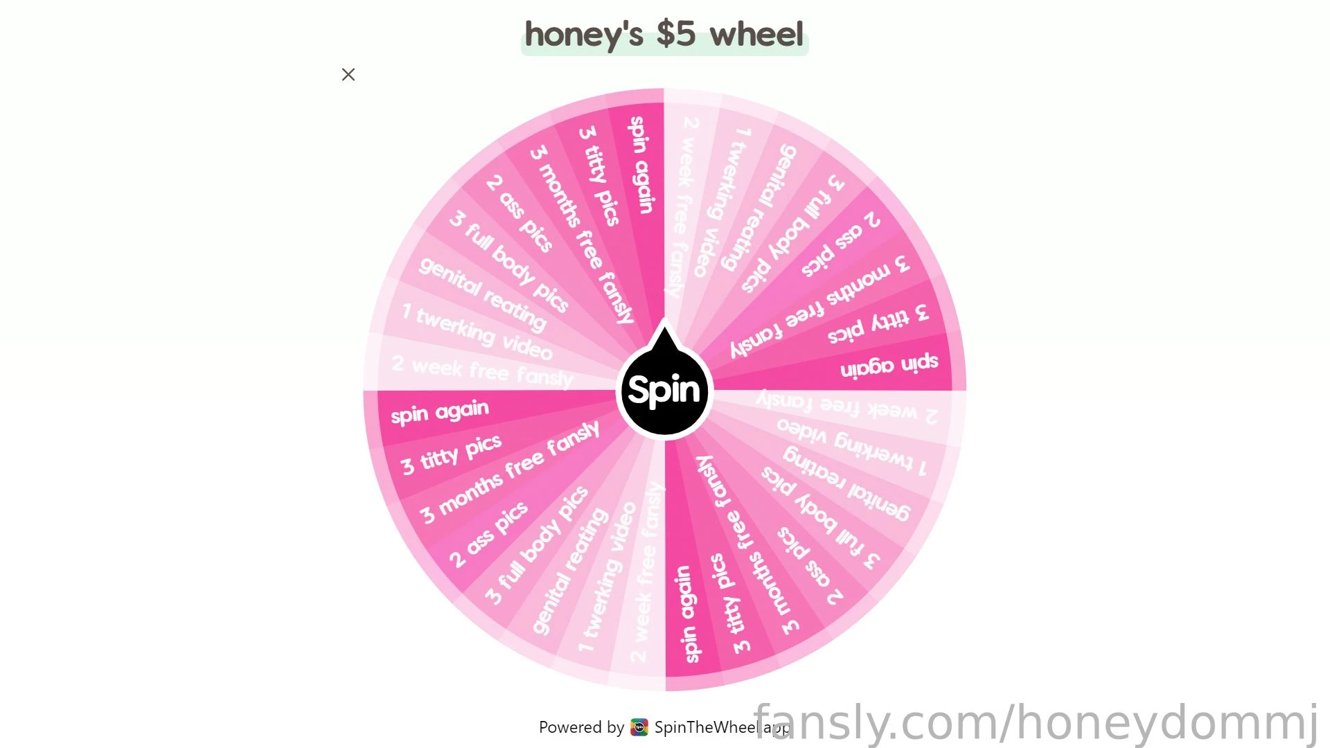 Introducing honey s new wheel spins i might make some more with larger part 1 