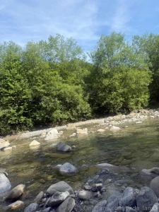 Die sommersprossen bertreiben langsam