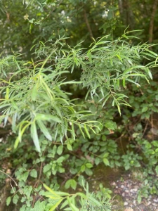 Sommer ist einfach meine jahreszeit liebs kann mans sehen wie ich part 2