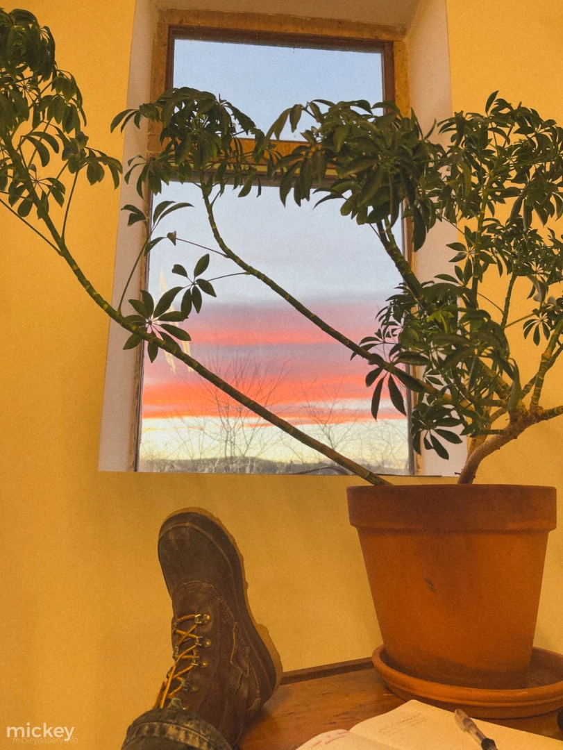 Finally got all the stuff to the new studio amp 