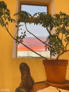 Finally got all the stuff to the new studio amp