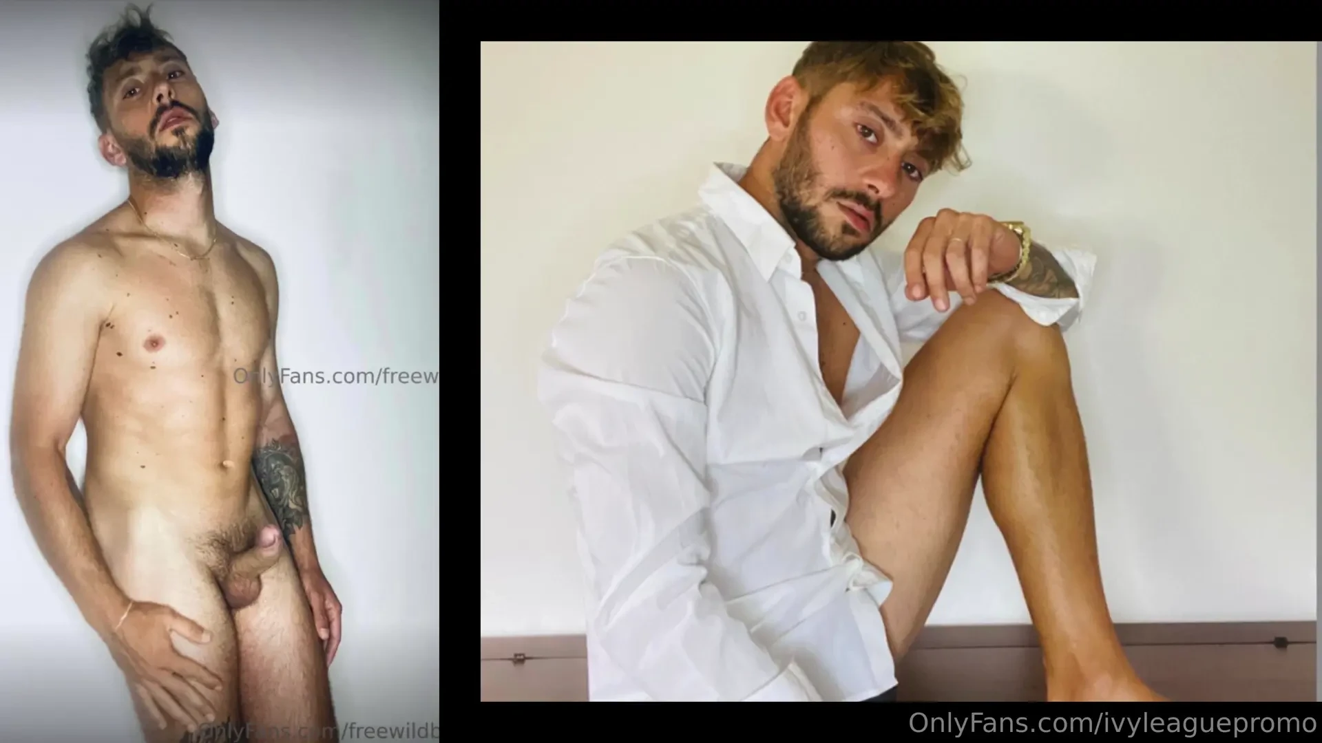 Here s the exclusive promo video of freewildbull don t wait go follow 