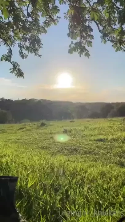 Evening walks are a dream yes i did some walking as well 