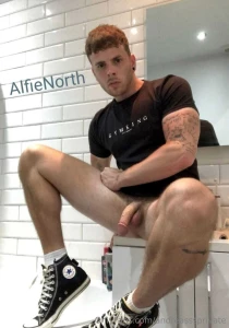 Alfienorth alfienorth alfienorth