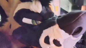 Full live stream vod - 1hr 41m i cum in the second video part 1