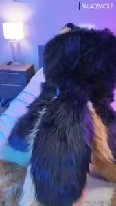 Full video 14m want to be the next to pound this shep tail full 14