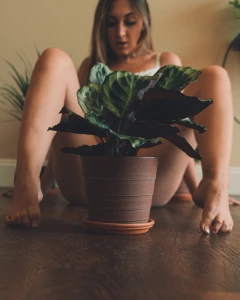 What a lovely plant sending this set out to you guys definitely don t